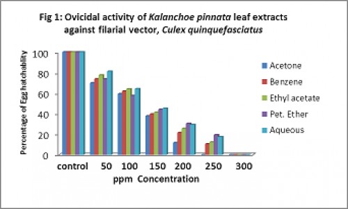 Ovicidal activity of<em> Kalanchoe pinnata</em> leaf extracts against filarial vector, <em>Culex quinquefasciatus</em>